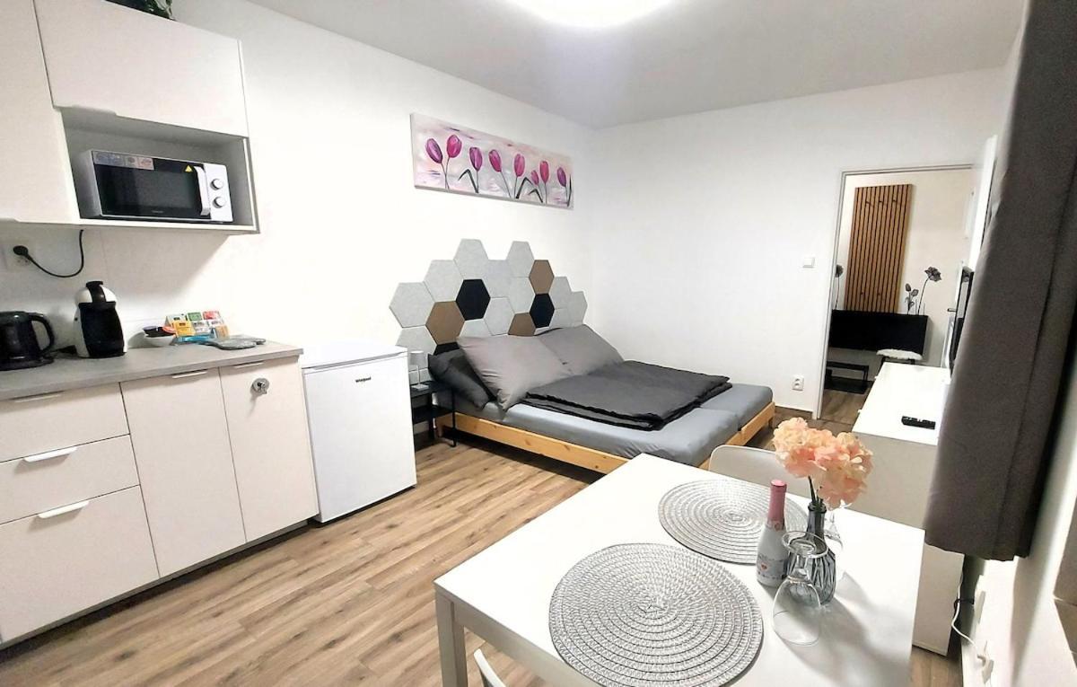 Апартаменти Pretty Private U Labe, Self-service Check-in 24 L 7 Neratovice